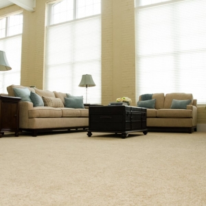 Photo of Oakland Mill Luxury Apartments