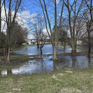 Photo of Mr French Drain