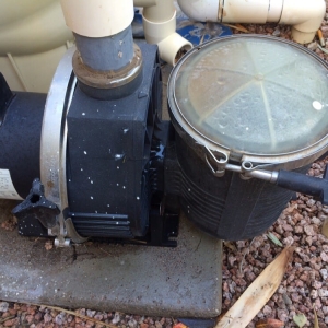 Photo of Sierra Oasis Pool Maintenance