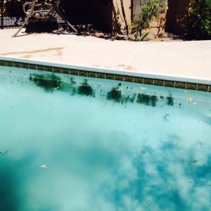 Photo of Sierra Oasis Pool Maintenance