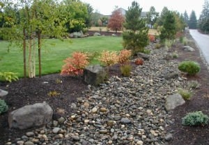 Photo of Arbor Landscape & Sprinklers