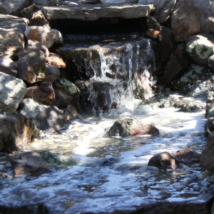 Photo of Arbor Landscape & Sprinklers
