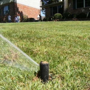 Photo of Arbor Landscape & Sprinklers