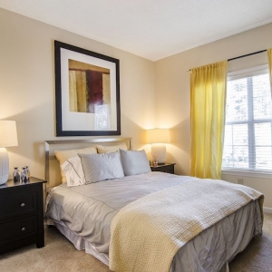 Photo of The Pointe at Collier Hills