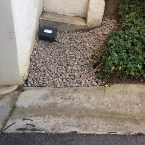 Photo of Vista Verde Landscape Construction and Maintenance