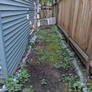 Photo of Edge Landscaping