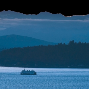Seattle Hang Wire Web Design