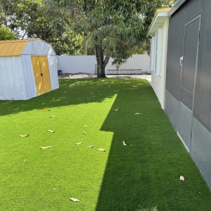 Photo of Turf Your Life