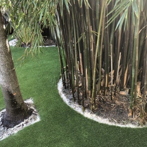Photo of Turf Your Life