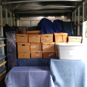 Photo of Moving Kings