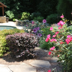 Photo of Champion Yard Services