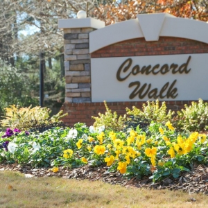 Photo of Champion Yard Services
