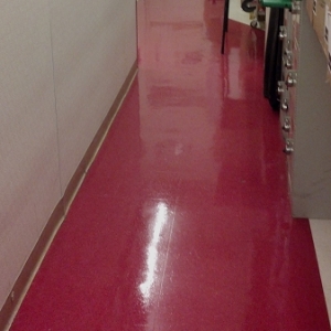 Photo of Re-Nu Professional Carpet Care
