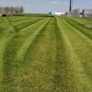 Photo of OCD Lawn