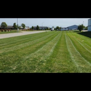 Photo of OCD Lawn
