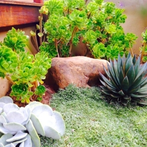 Photo of Terrain