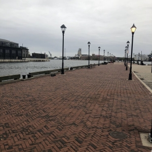 Photo of Bite of Baltimore