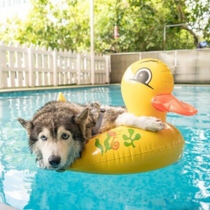 Photo of No Worries Pool Care