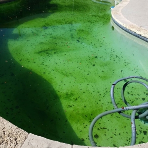 Photo of No Worries Pool Care