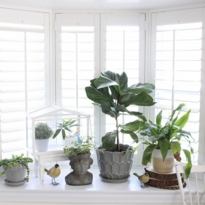 Photo of Sunburst Shutters & Window Fashions
