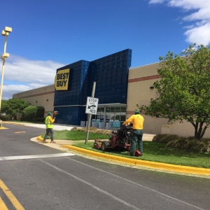 Photo of My Bloom Landscape Services