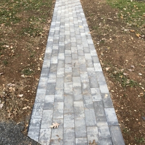 Photo of My Bloom Landscape Services