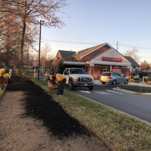 Photo of My Bloom Landscape Services