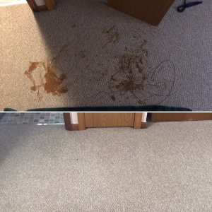 Photo of Completely Clean