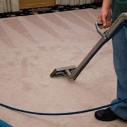Photo of Citrus Fresh Carpet Cleaning