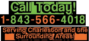 Photo of Citrus Fresh Carpet Cleaning