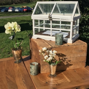 Photo of Hannah Belle Events