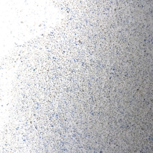 Photo of Malibu Pools