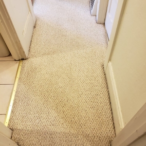 Photo of Amazing Carpet & Upholstery Cleaning