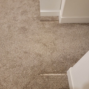 Photo of Amazing Carpet & Upholstery Cleaning