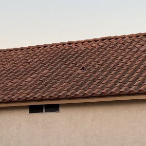 Photo of Picture Perfect Window Cleaning & Power Washing