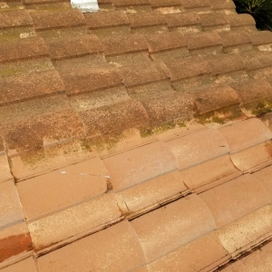 Photo of Picture Perfect Window Cleaning & Power Washing