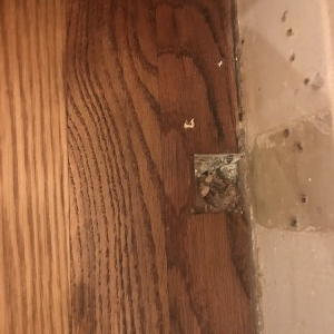 Memphis Old World Floors