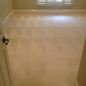 Photo of Safe-Dry Carpet Cleaning -Tuscaloosa