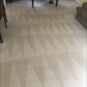 Photo of Safe-Dry Carpet Cleaning -Tuscaloosa
