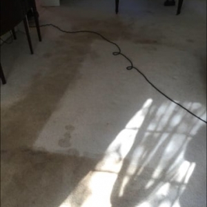 Photo of Safe-Dry Carpet Cleaning -Tuscaloosa