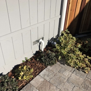 Photo of Bay Area Moisture Control
