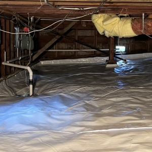Photo of Bay Area Moisture Control