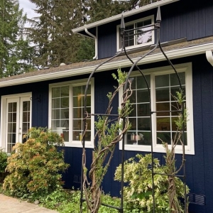 Photo of Seattle Local Painters