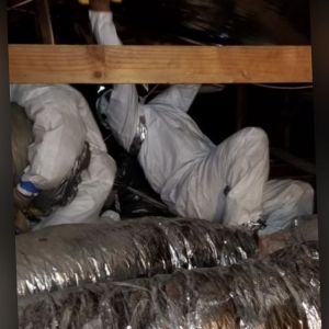Photo of Breeze Attic Services