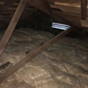 Photo of Breeze Attic Services