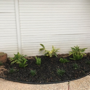 Photo of Plant's Landscaping and Design