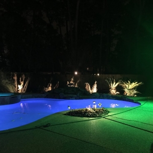 Photo of Plant's Landscaping and Design