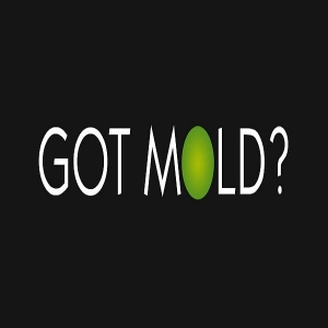 Photo of Real Estate Mold Solutions