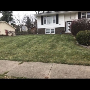 Photo of Apex Property Services