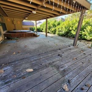 Photo of Pool Specialist